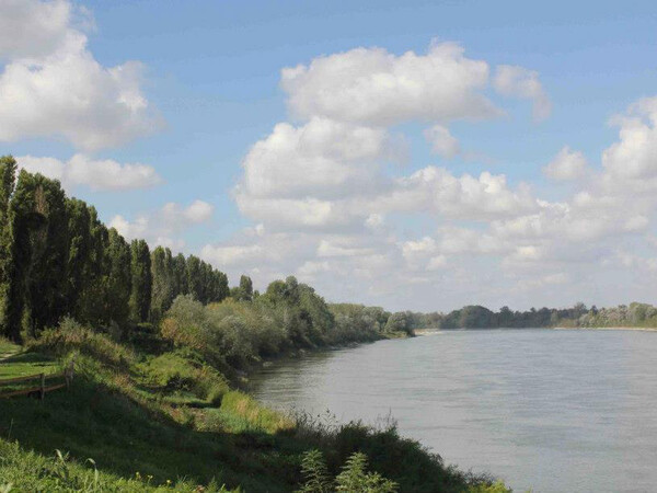 Immagine Polesine Zibello